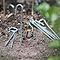 Steel Ground Pegs (10 Pack)