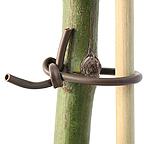 Flexi-Tie
