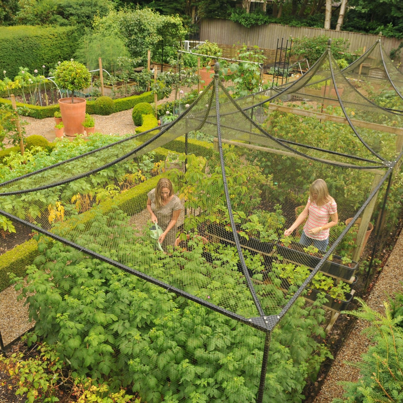 Peak Roof Heavy Duty Steel Decorative Fruit Cage Harrod Horticultural