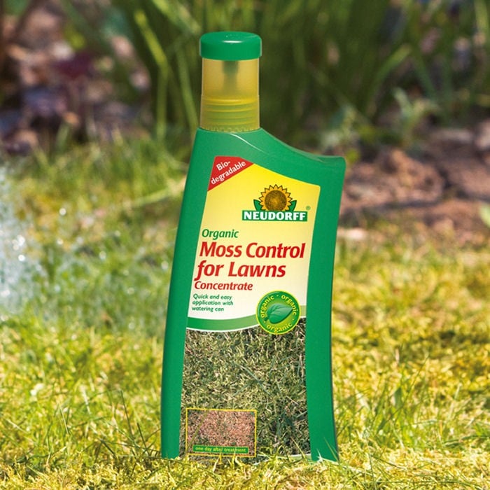 Lawn moss control