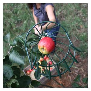 Apple Picker