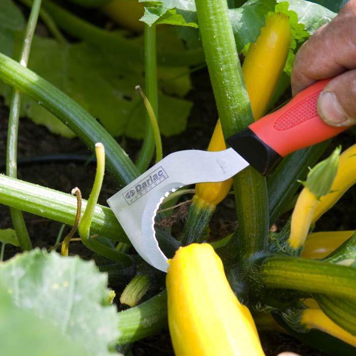 Hooked Garden Knife Harrod Horticultural (UK)