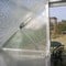 Greenhouse Bubble Wrap - 20mm Bubbles