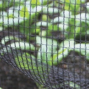 Butterfly Netting Soft Mesh