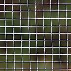 Chicken Wire Netting