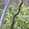 Freestanding Hoop and Fitted Cover Kits Freestanding Hoop and Fitted Cover Kits