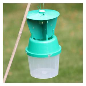 Garden Chafer Beetle Trap