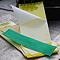 Drystick Greenhouse Sticky Traps Drystick Greenhouse Sticky Traps