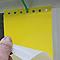 Drystick Greenhouse Sticky Traps Drystick Greenhouse Sticky Traps