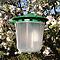 Codling Moth Trap