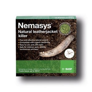 Nemasys Leatherjacket Killer