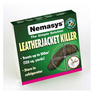 Nemasys Leatherjacket Killer