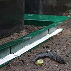 Slug Barrier System