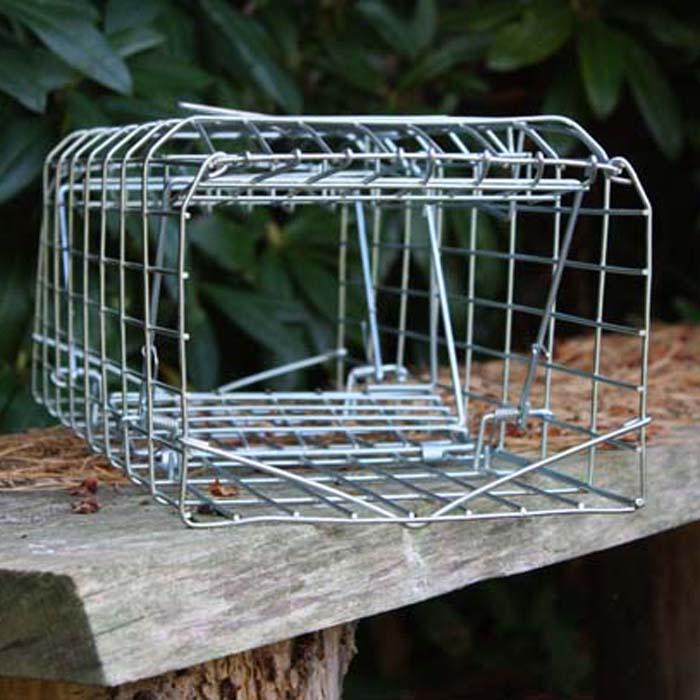 Squirrel Trap Harrod Horticultural (UK)