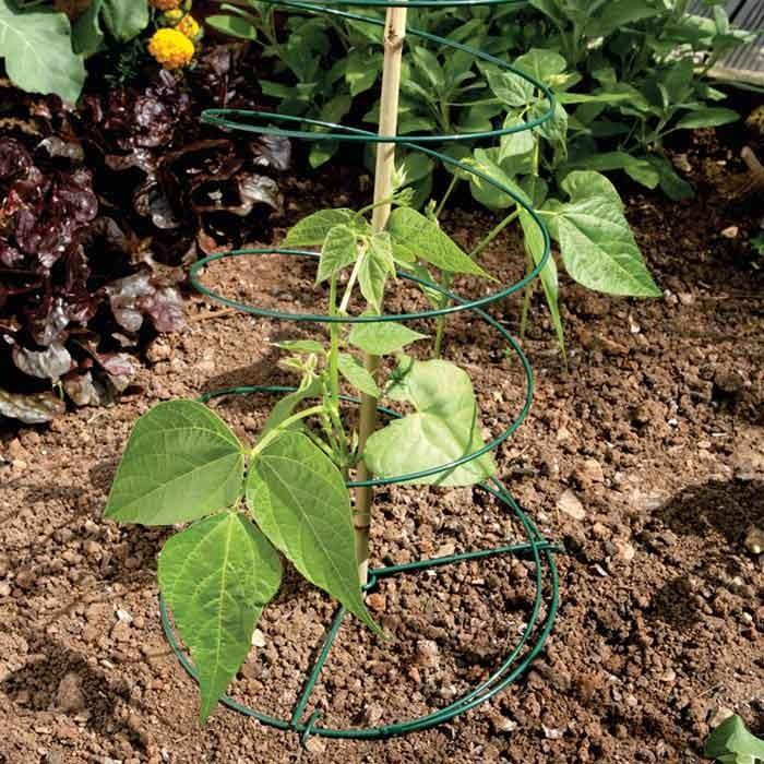 Multi Spiral Plant Support Harrod Horticultural