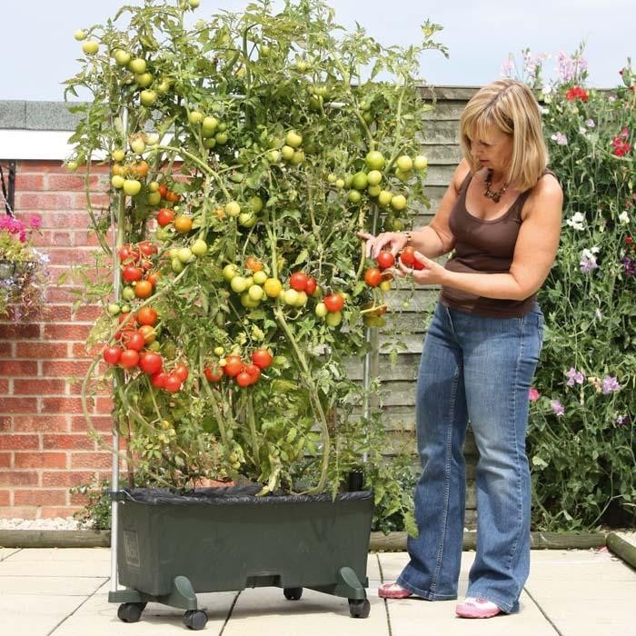 Earthbox Replacement Mulch Covers (2 Pack) Harrod Horticultural