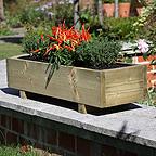 Window Boxes
