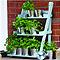 Plant Theatre