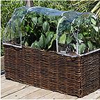 Salad & Herb Planter