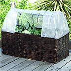 Vegetable and Tomato Planter