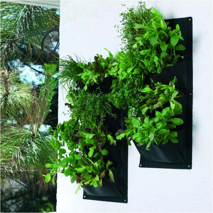Small Container Garden Kitchen Herbs Small Container Garden Kitchen Herbs