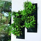 Herb and Salad Vertical Planters