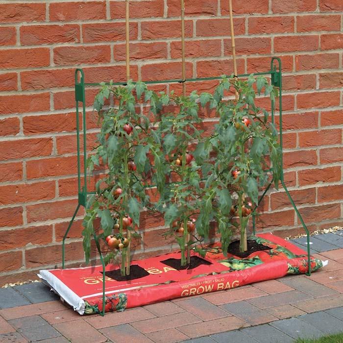 Grow Bag Support Frame - Harrod Horticultural (UK)