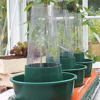 Solar Cloches