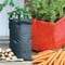 Patio Planter Pack Special Offer