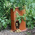Potato Barrel