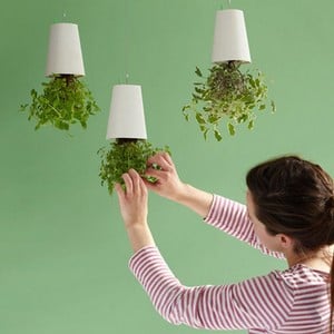 Sky Planters