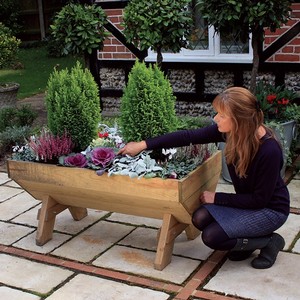 Mini Manger Trough Planter