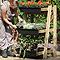 Freestanding Ladder Vegetable Garden with PVC Cover Freestanding Ladder Vegetable Garden with PVC Cover