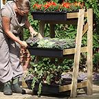 Freestanding Ladder Vegetable Garden with PVC Cover