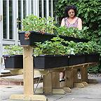 Strawberry Raised Growing Table