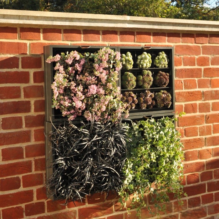 Vertical Wall Planter Garden Planters at Harrod Horticultural