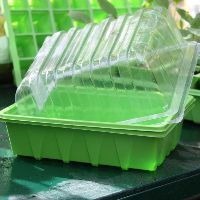 Half Tray Seed Trays and Optional Lids Harrod Horticultural (UK)