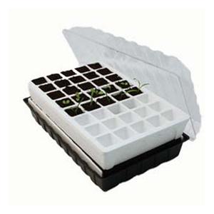 80 Cell Self watering Seed Starting System