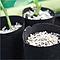Vermiculite Vermiculite