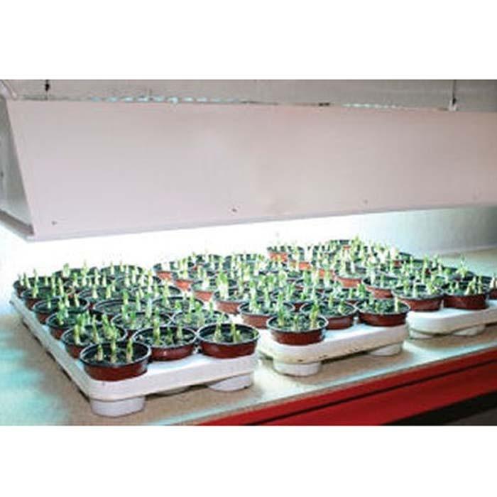 Grow Light Kits Harrod Horticultural (UK)