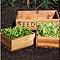 Seed Tray Set Seed Tray Set