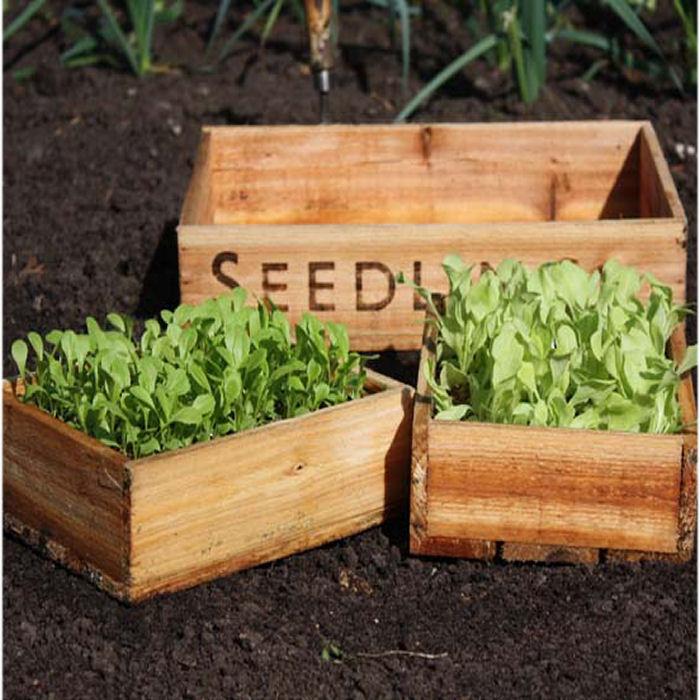 Seed Tray Set Harrod Horticultural (UK)