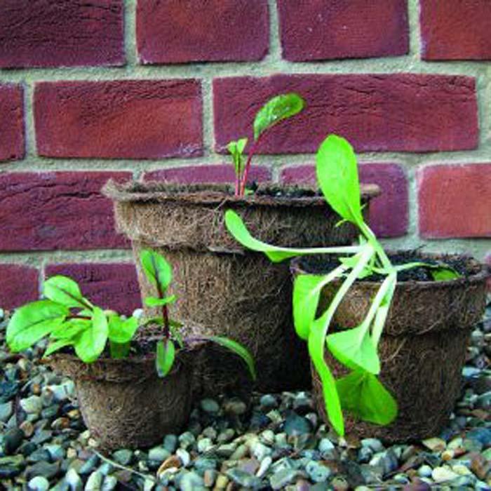Organic Natural Fibre Pots Harrod Horticultural (UK)