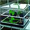 Vitopod Heated Propagator