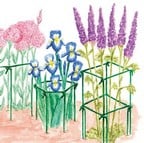 The Original Link-Stakes Plant Supports