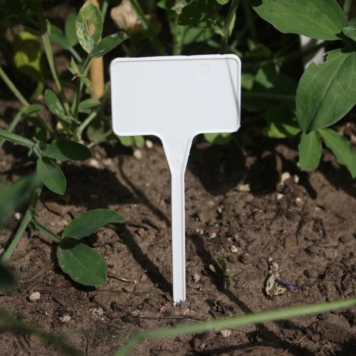 T Labels (50 Pack) White Harrod Horticultural
