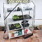 Greenhouse Seed Tray Racks