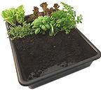 Multi-Purpose Garden Tray