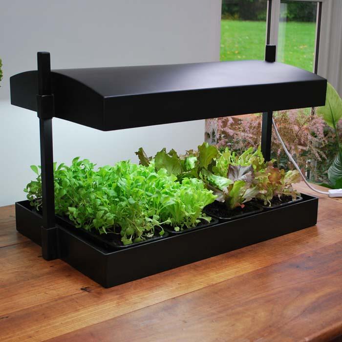 indoor growing lights uk indoor garden lights photograph indoor grow light garden indoor growing lights uk indoor garden lights photograph indoor grow light garden