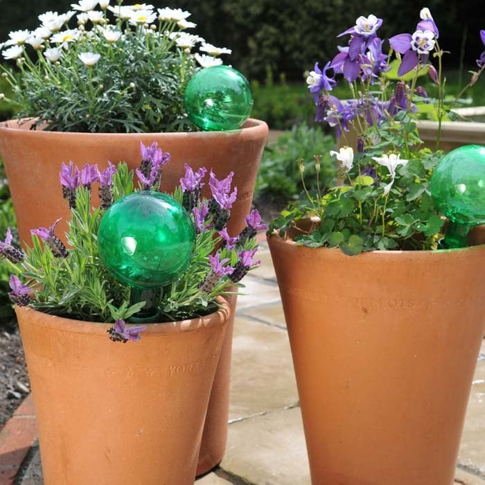 Holiday Watering Kit Harrod Horticultural